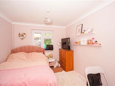 Picture 13